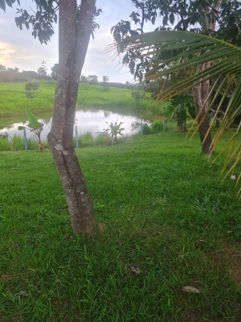 WhatsApp Image 2025-09-08 at 14.31.18 (1)